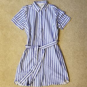 Striped button down dress